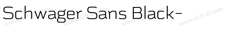 Schwager Sans Black字体转换
